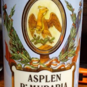 Botamen Asplen R: Muraria