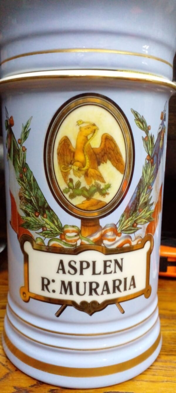 Botamen Asplen R: Muraria