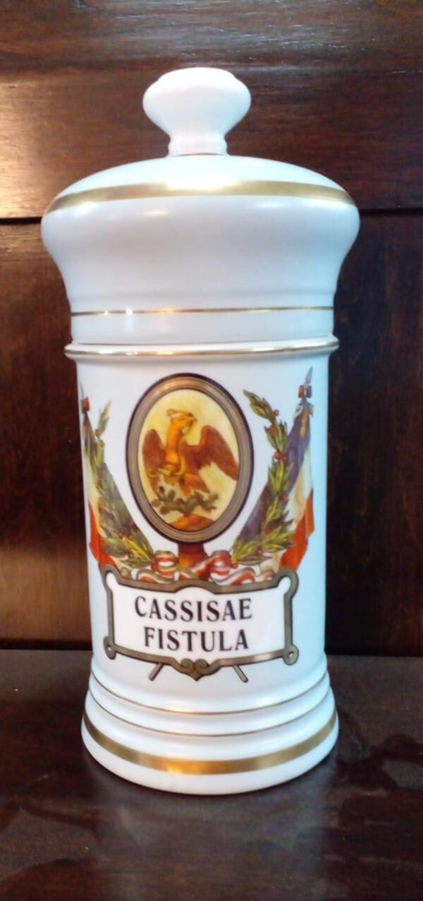 Botamen Cassisae Fistula